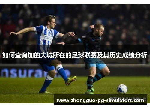 如何查询加的夫城所在的足球联赛及其历史成绩分析 如何查询加的夫城所在的足球联赛及其历史成绩分析