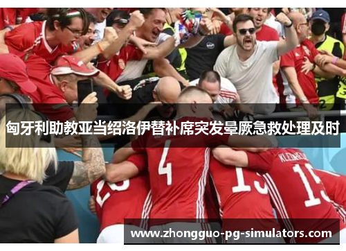 匈牙利助教亚当绍洛伊替补席突发晕厥急救处理及时 匈牙利助教亚当绍洛伊替补席突发晕厥急救处理及时