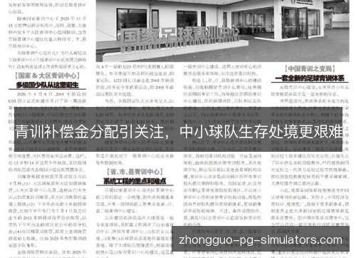 青训补偿金分配引关注，中小球队生存处境更艰难